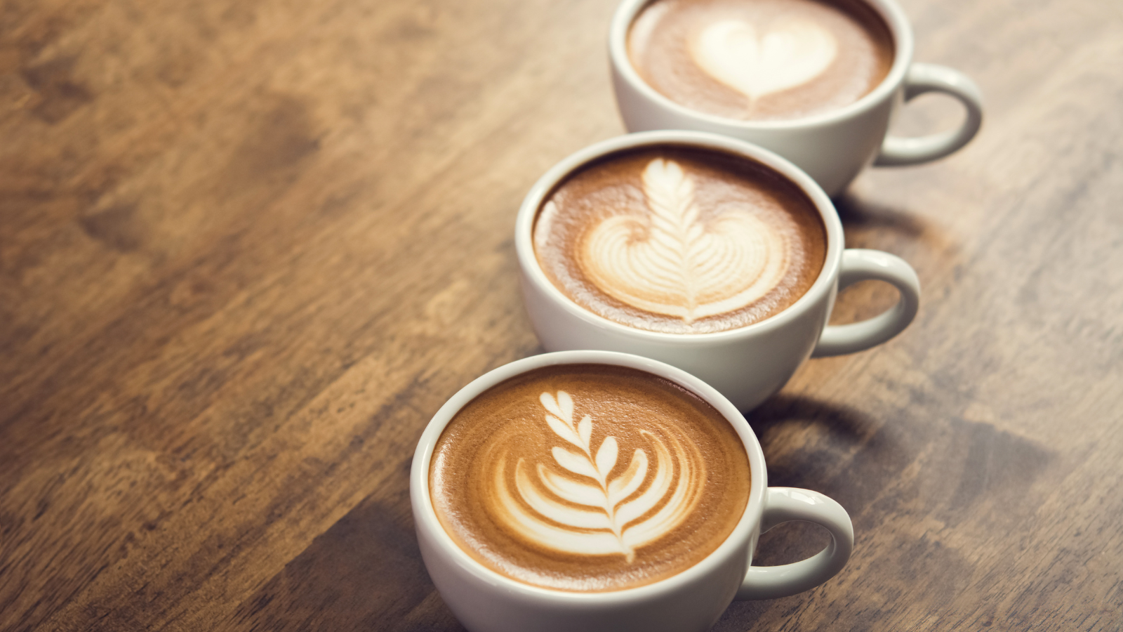Best Local Coffee Shops in Thurston County header image.