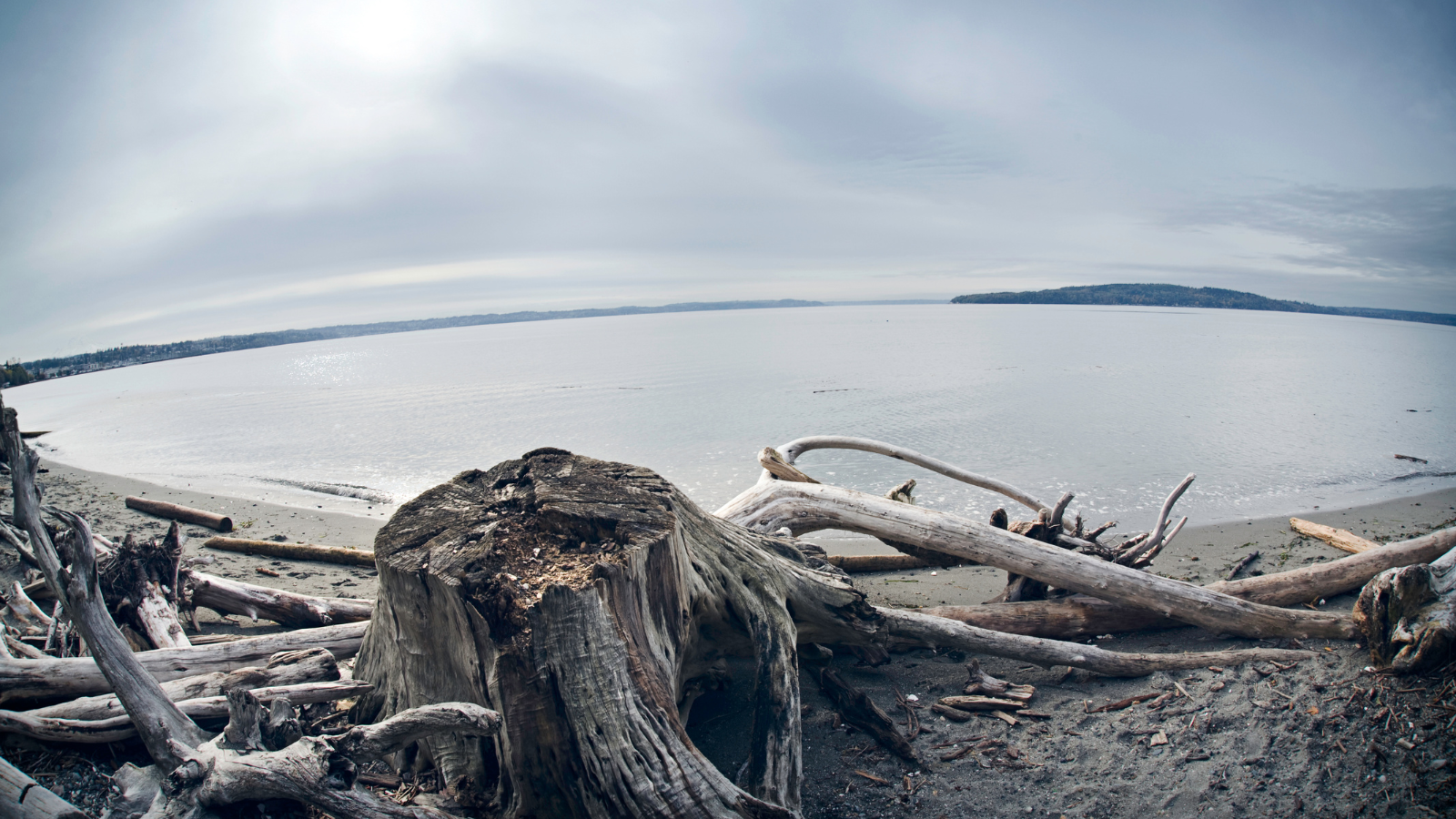 Discover the Best Beaches in the South Sound: Unveiling Nature’s Coastal Treasures header image.