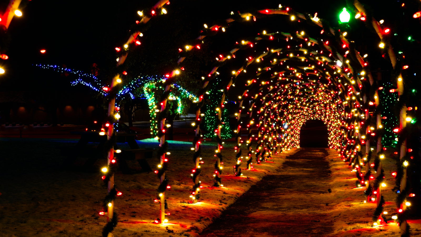 Enchanting Holiday Lights in the South Sound: Experience the Shimmering Splendor header image.