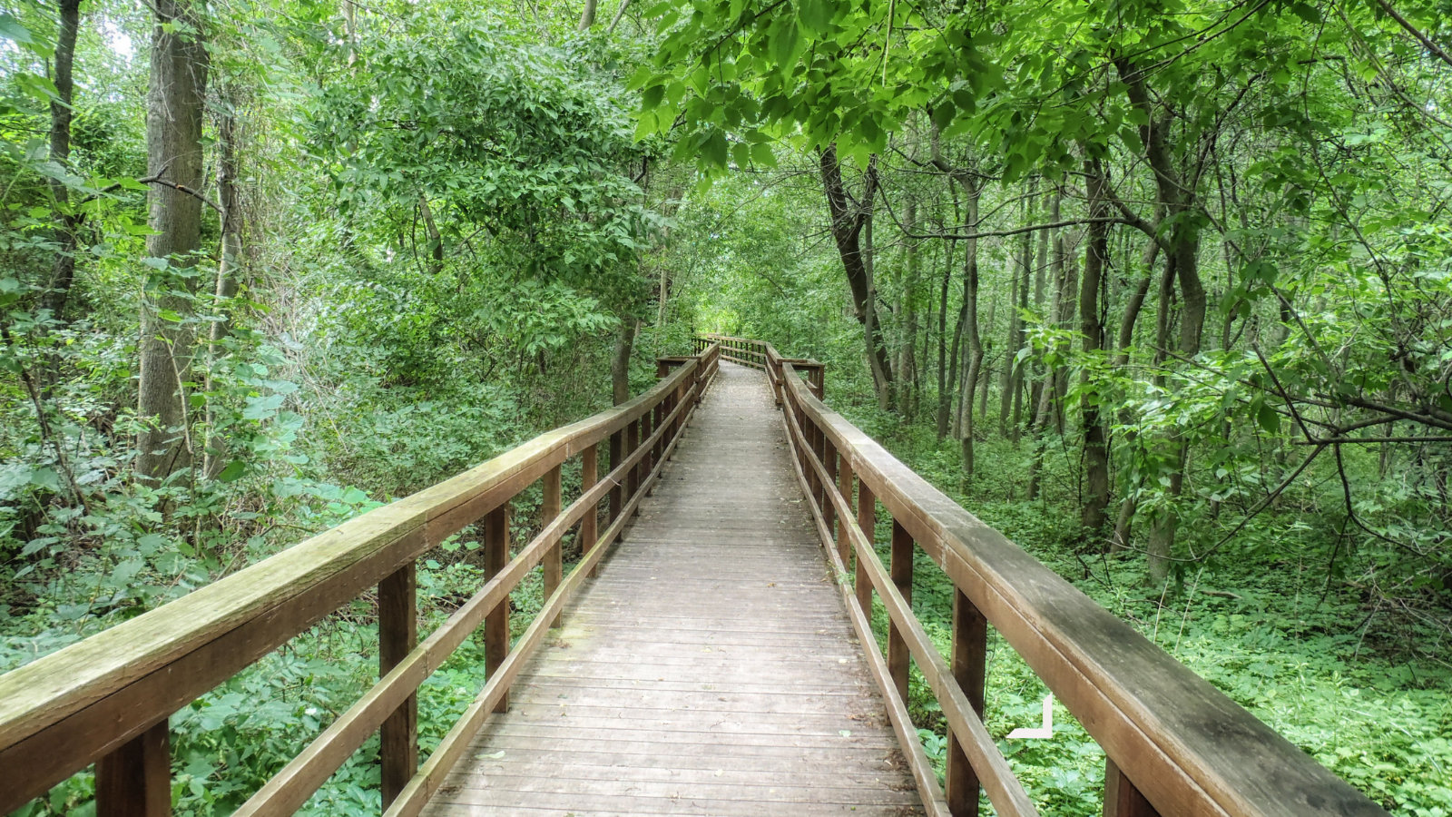 Exploring Nature’s Haven: The Best Parks in the South Sound header image.