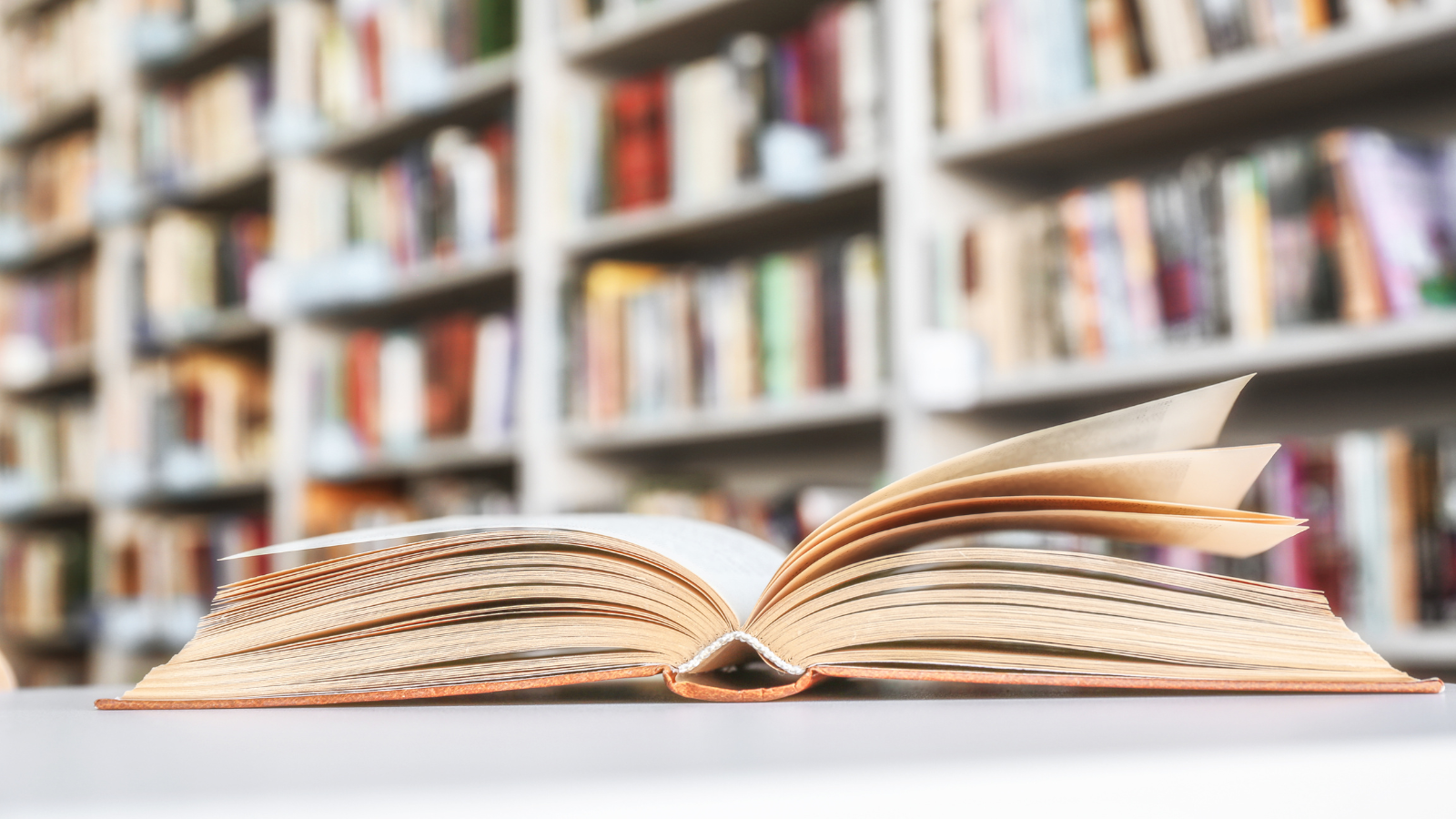 A Guide to the Best Bookshops in the South Sound header image.