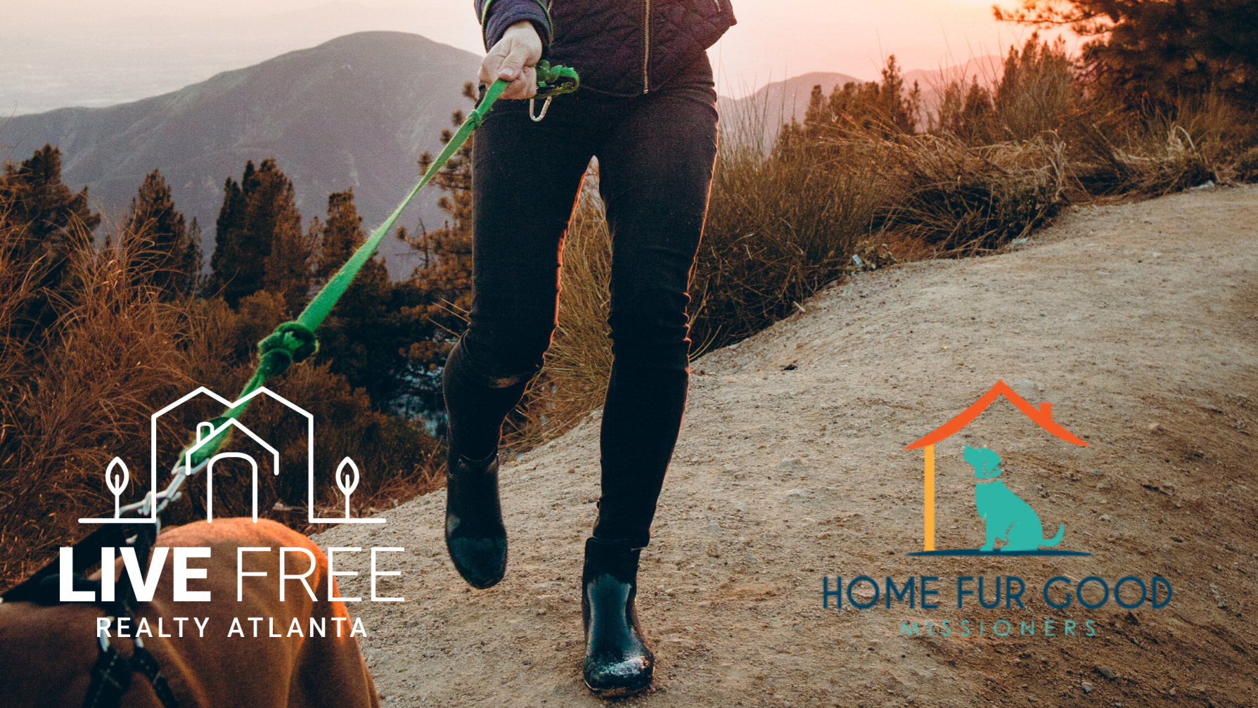 3 Lessons I Learned Walking My Crazy Foster Dog header image.