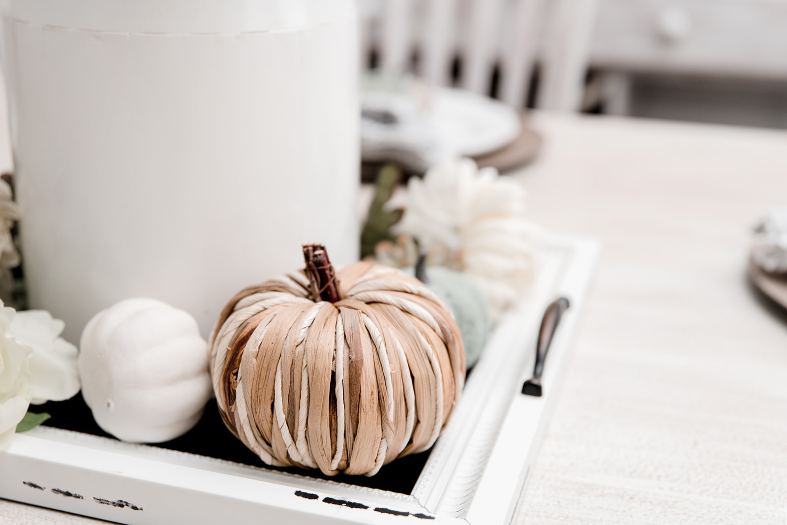 5 Family Activities To Do This Fall in Hampton Roads header image.