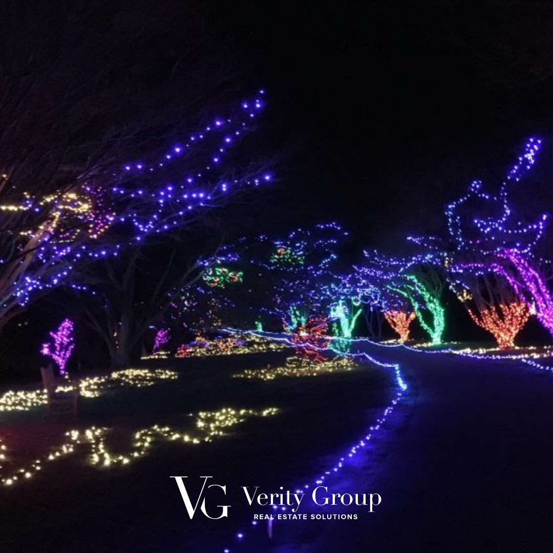 The Best Holiday Light Displays in Hampton Roads header image.