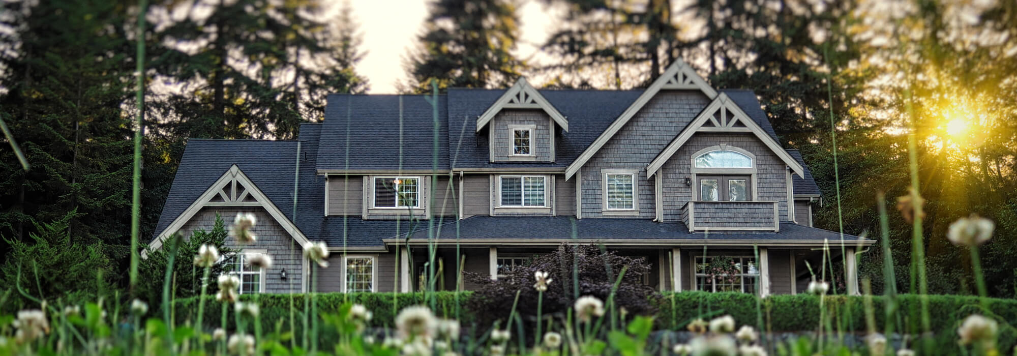 What is the Best House? header image.