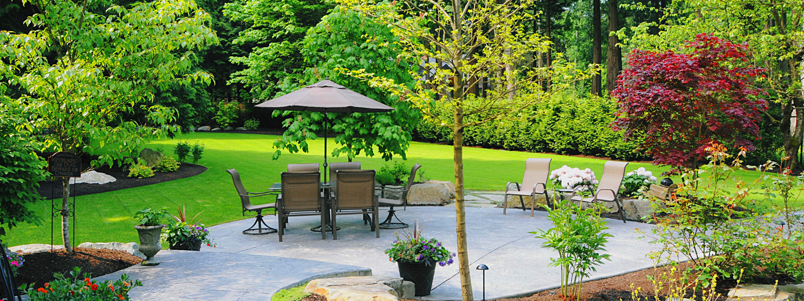 LiveMARYLAND Buyer Tip: Focus On What You Can’t Change to Get More of What You Really Want header image.