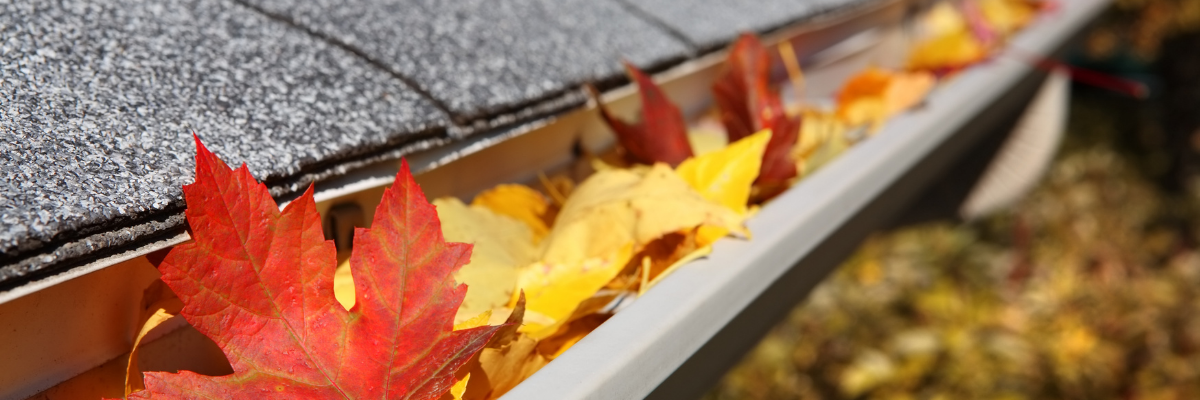 LiveMARYLAND November Homeownership Checklist header image.