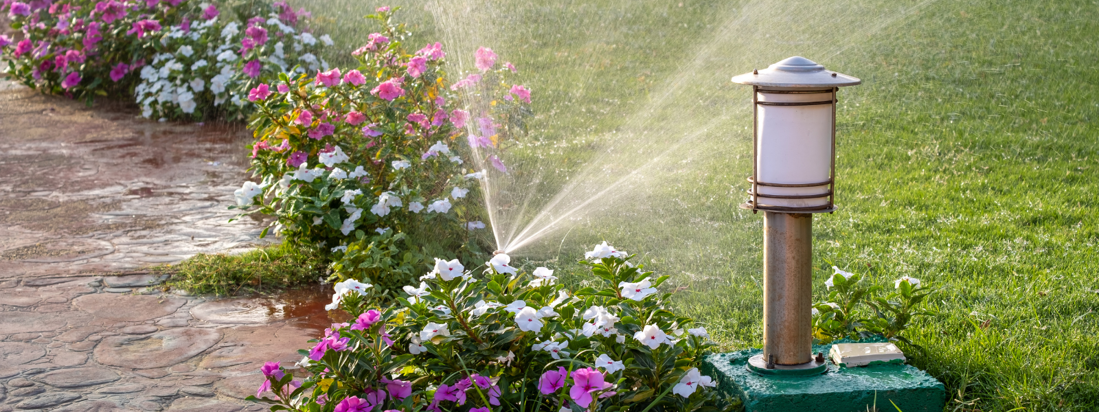 Home Prep for Success: Start Strong in January header image.