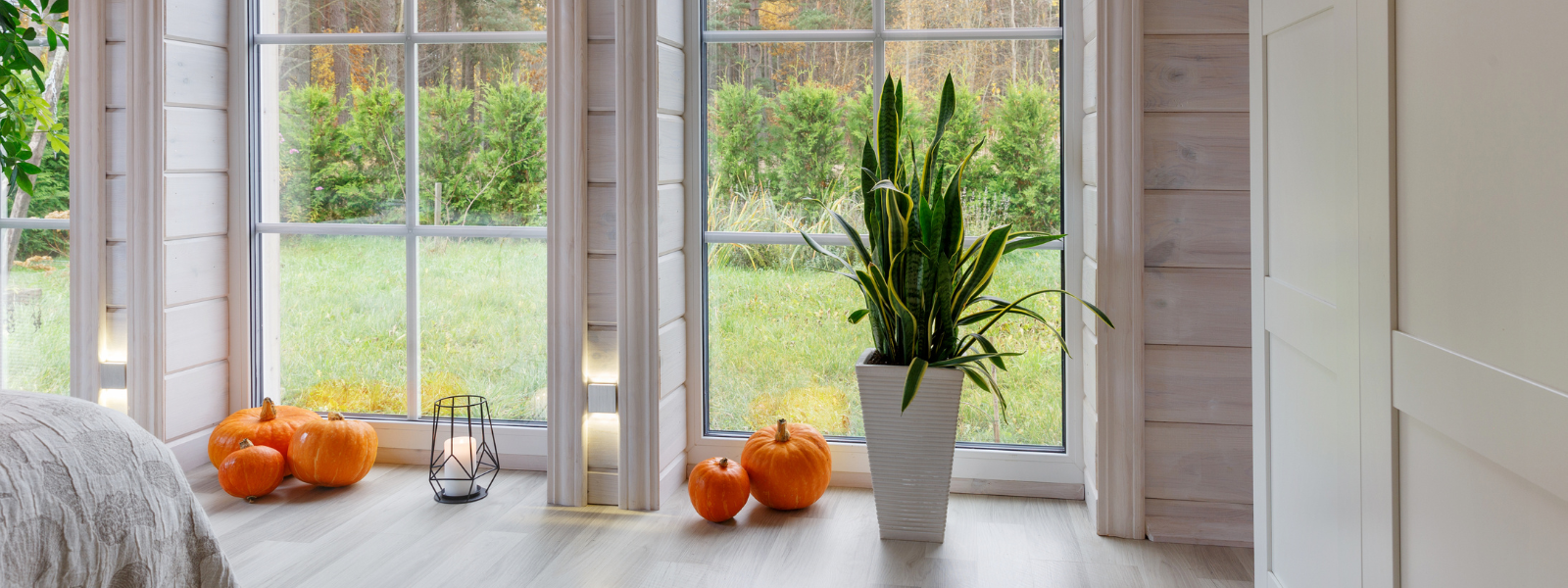 LiveMARYLAND Seller Tip: Don’t Wait To Be Spooked! Have A Pre-Listing Home Inspection header image.