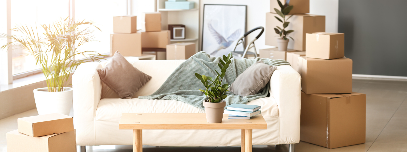 Home Prep for Success | February Tip header image.