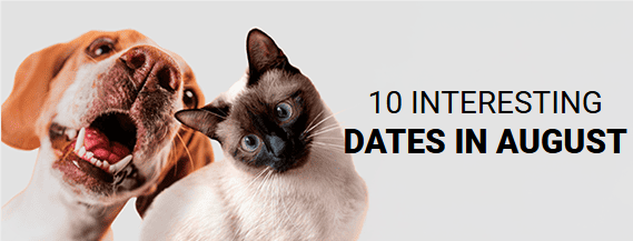 10 Interesting Dates in August header image.
