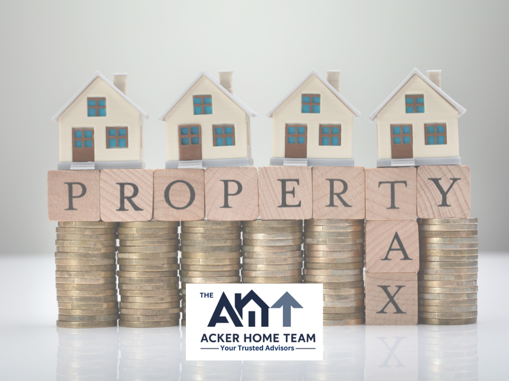 Florida Amendment 3 property tax reform explained for Nassau County homeowners