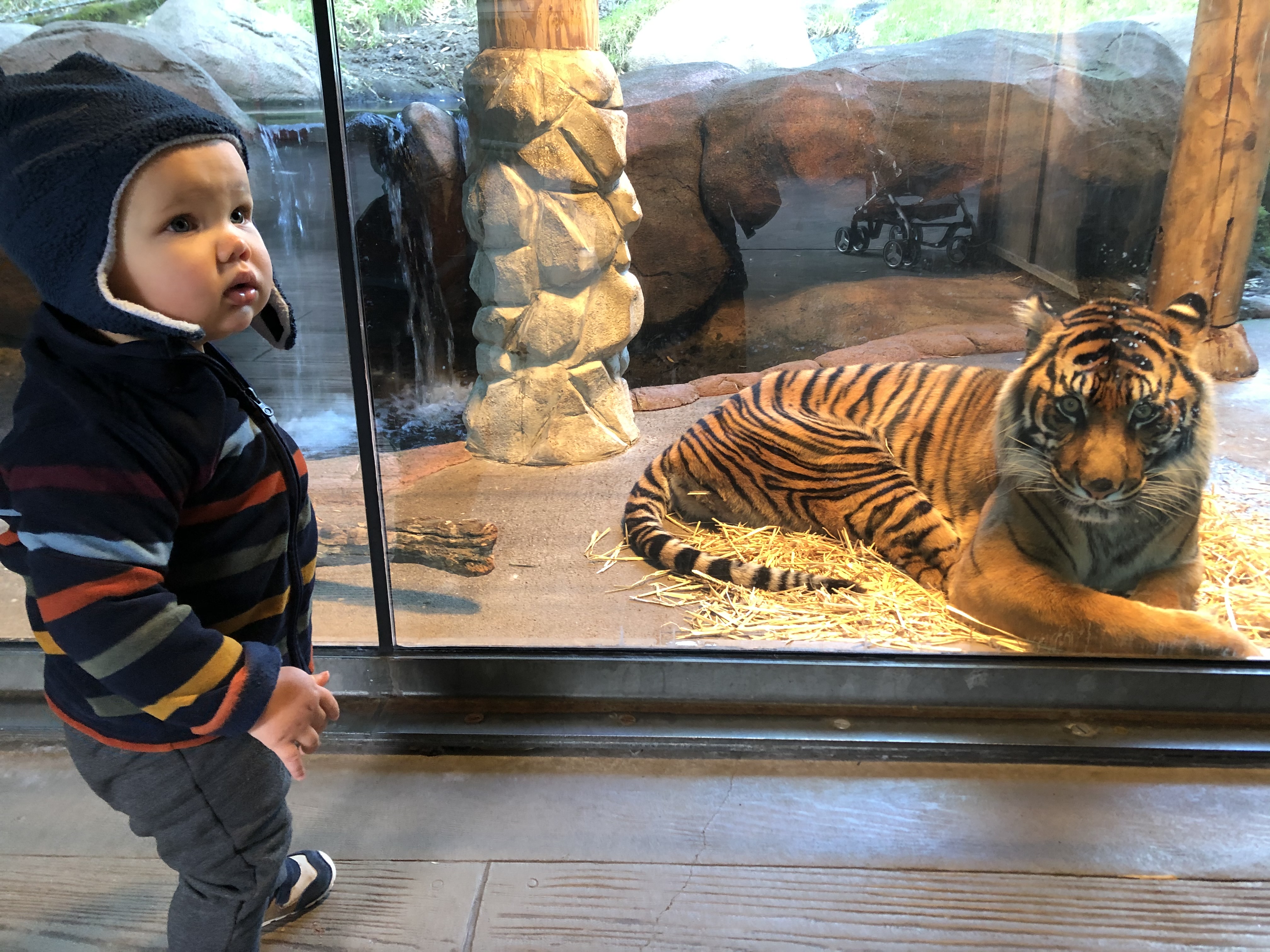 22 Fun Things to Do With Kids in Gig Harbor, Tacoma, and Surrounding Areas header image.