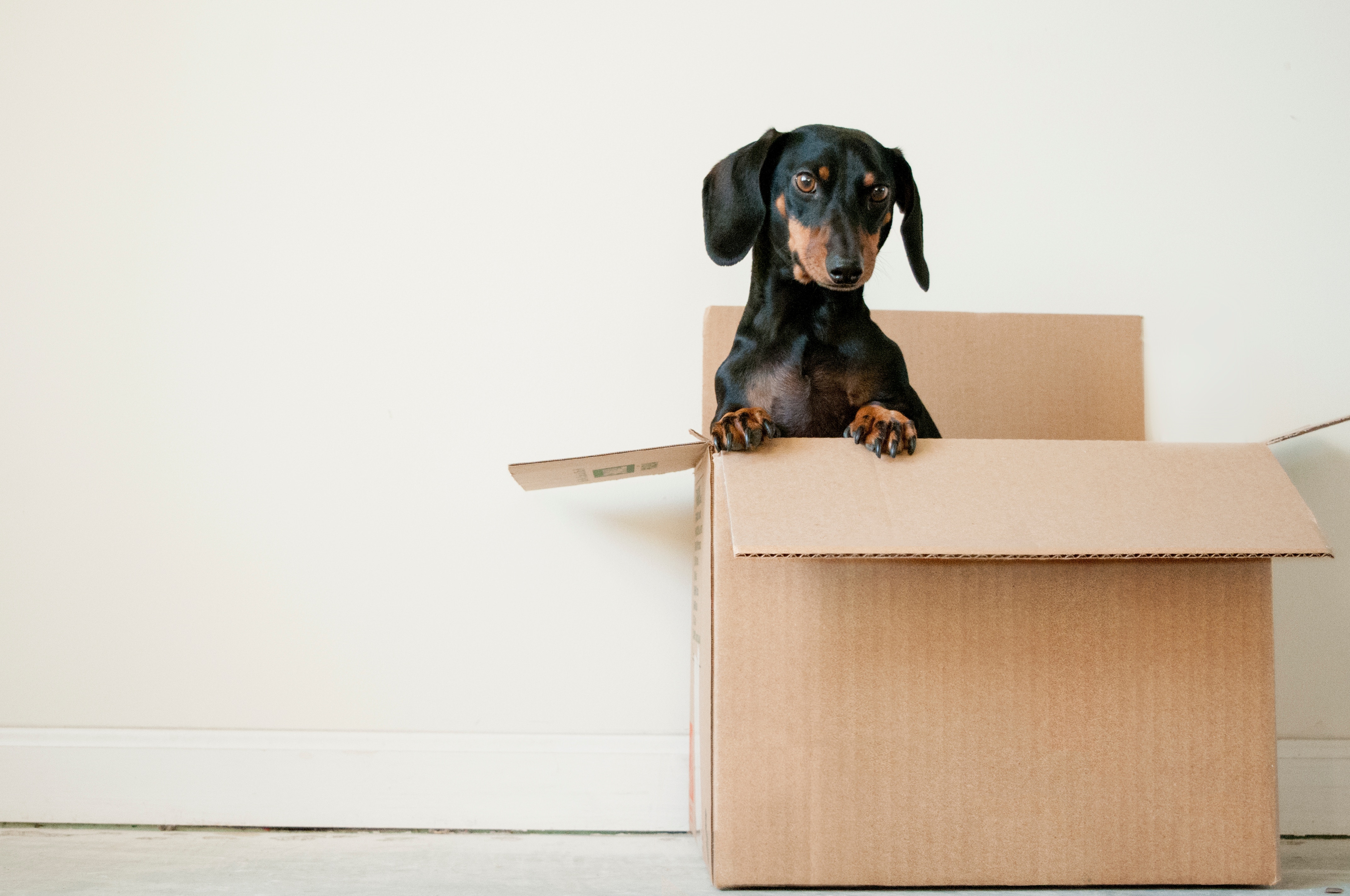 10 Packing Tips for Buyers header image.