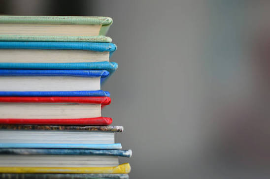 Northeast Tallahassee Schools: A Local Mom's Perspective header image.
