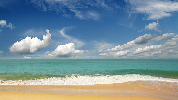 Seashore Search header image.