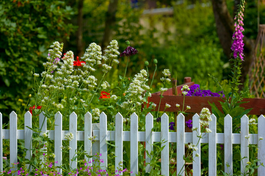 Find the Right Fence header image.