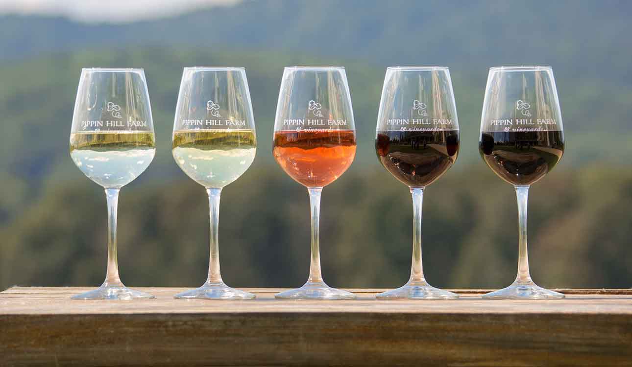 Wine and Food: The Perfect Union header image.