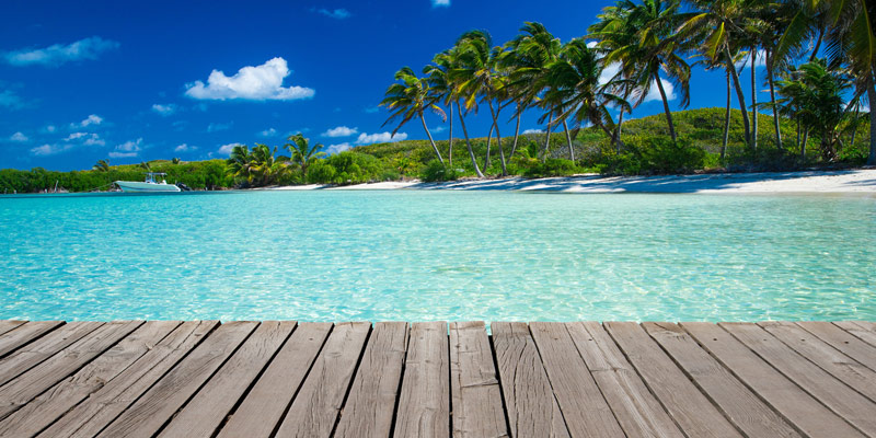 A Summertime Escape header image.