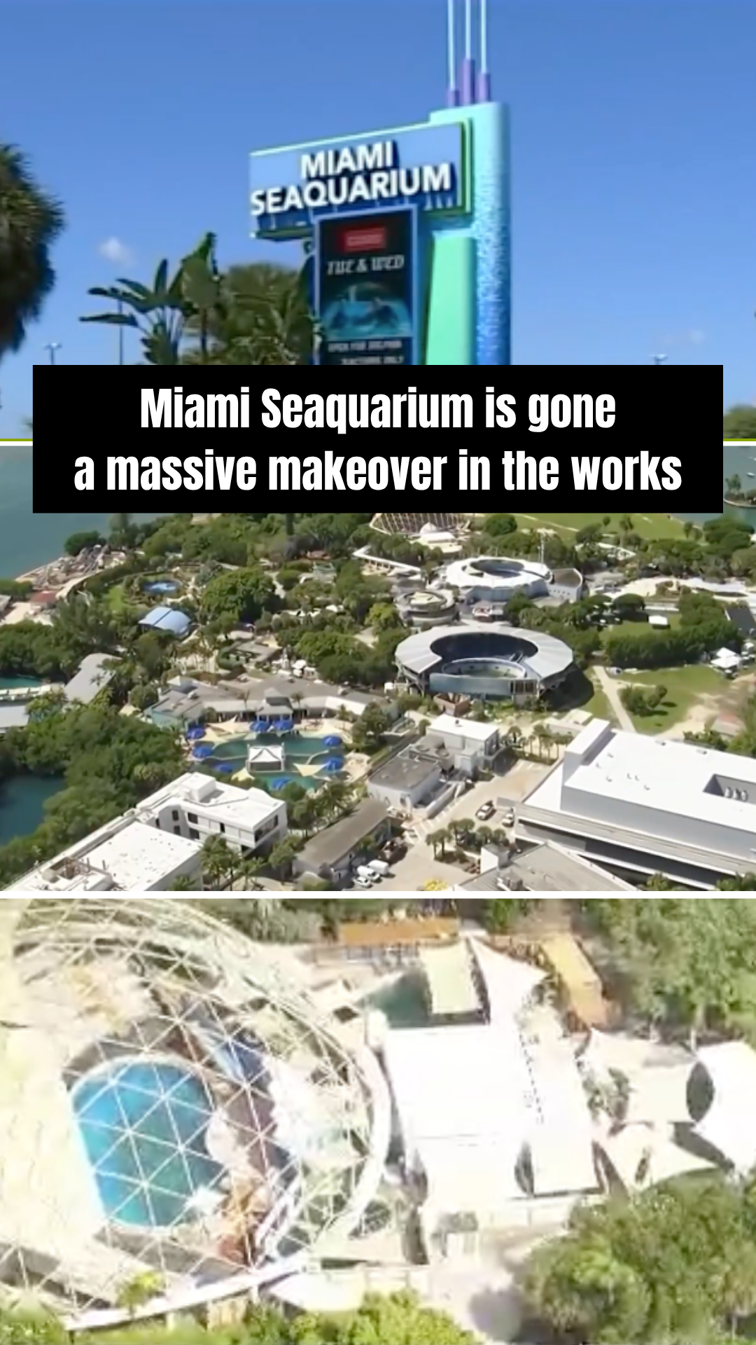 Terra Group’s $22.5 Million Plan to Reimagine the Miami Seaquarium: A New Era for Virginia Key header image.