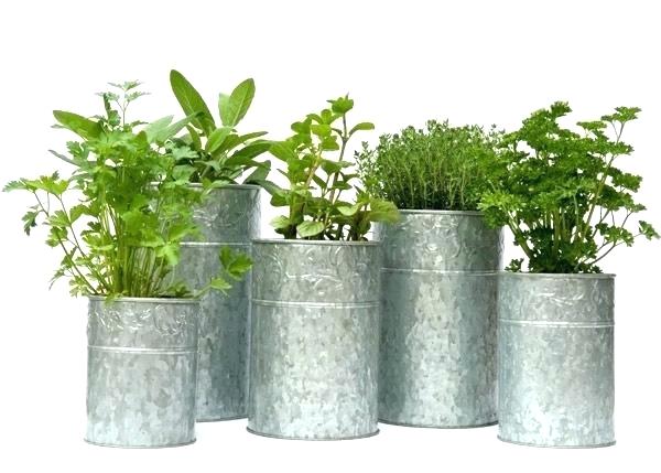 DIY Galvanized Flower Pot header image.