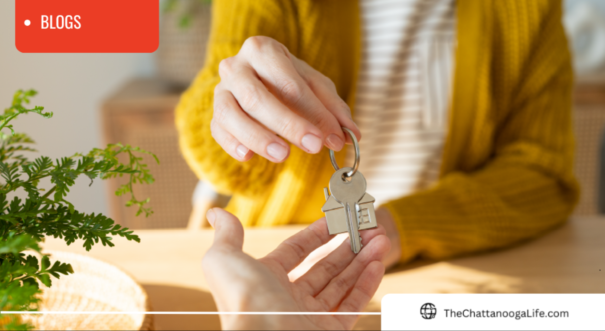How To Make a Strong Offer in Today’s Chattanooga Real Estate Market header image.