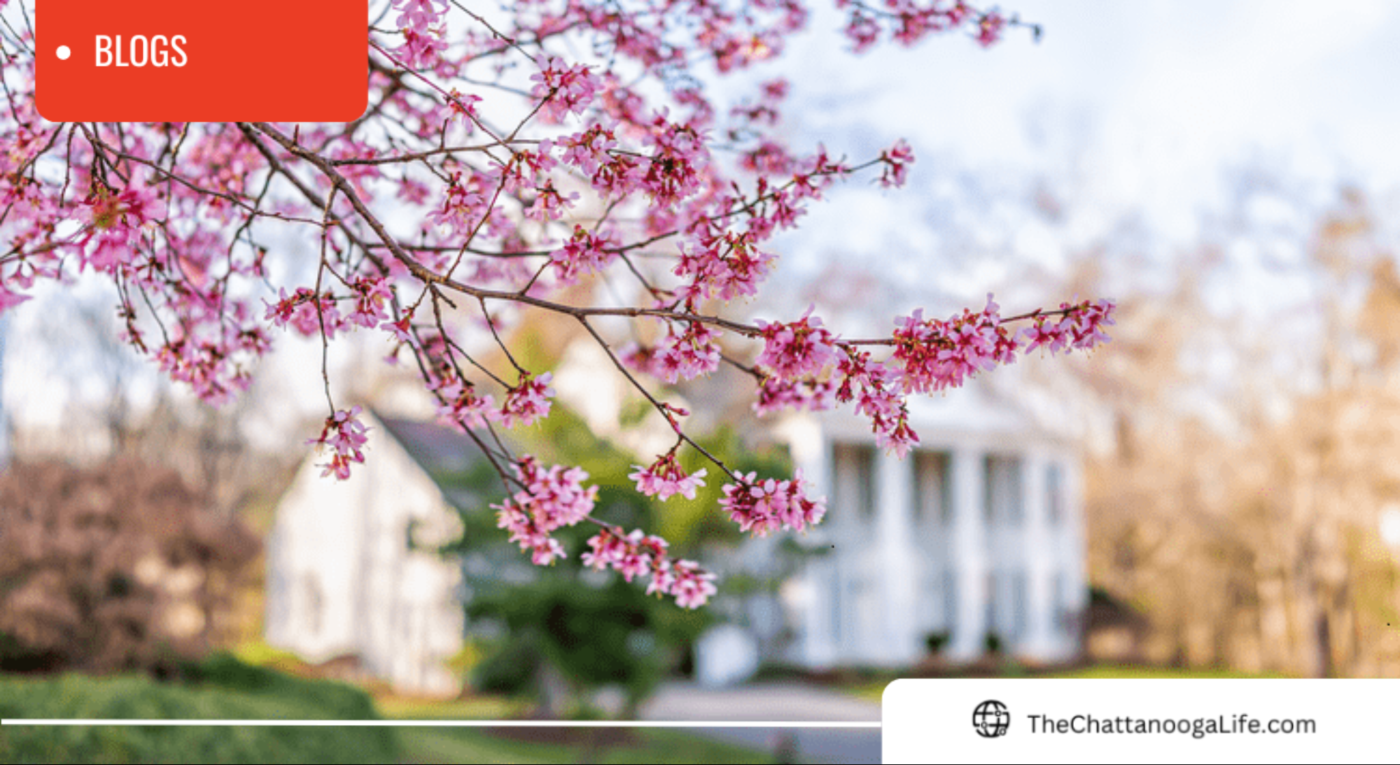 4 Smart Ways To Make Your Offer Stand Out in the Chattanooga Real Estate Market This Spring header image.
