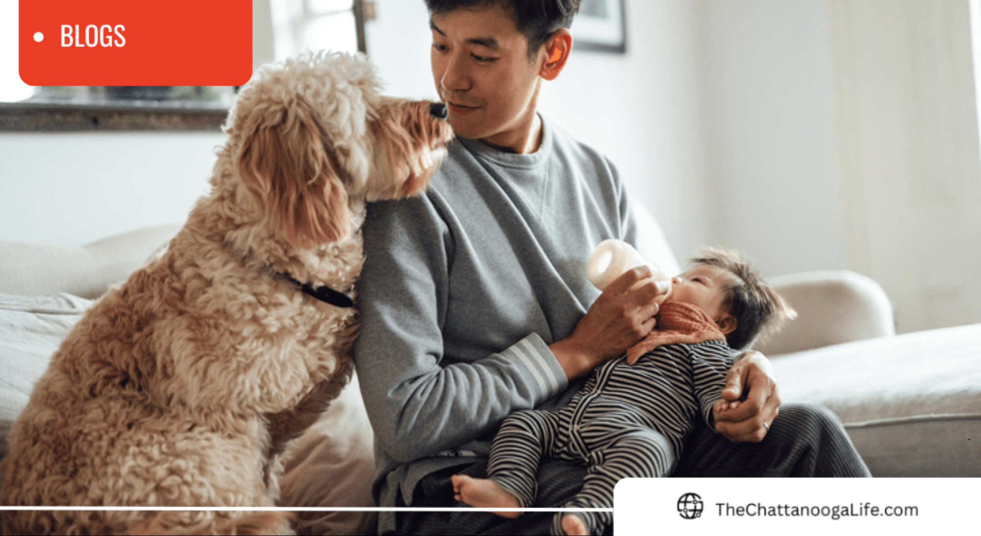 Why Owning a Home in Chattanooga Is More Than Just a Financial Investment header image.