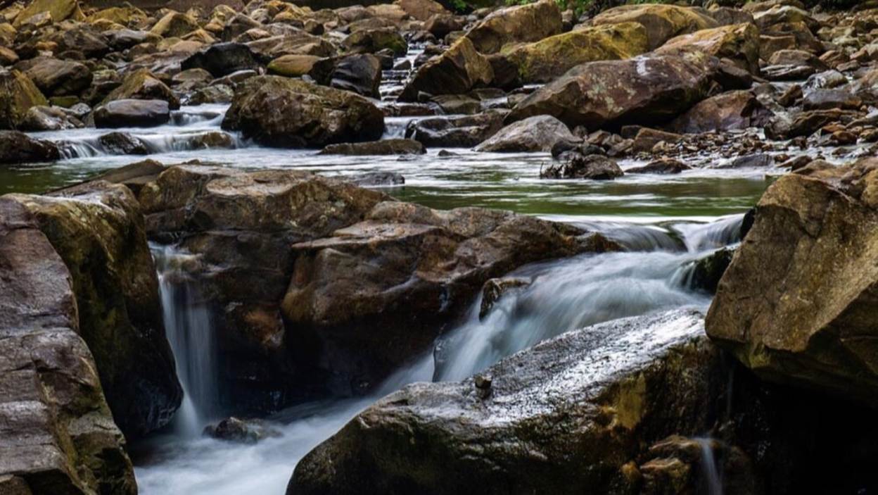 NOOGAtoday | Suck Creek