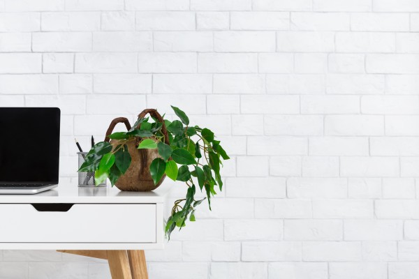 CREATE THE HOME OFFICE OF YOUR DREAMS header image.
