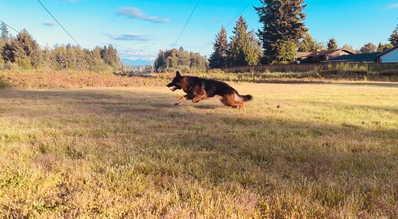 Radar on the move—much like this high-velocity summer market!