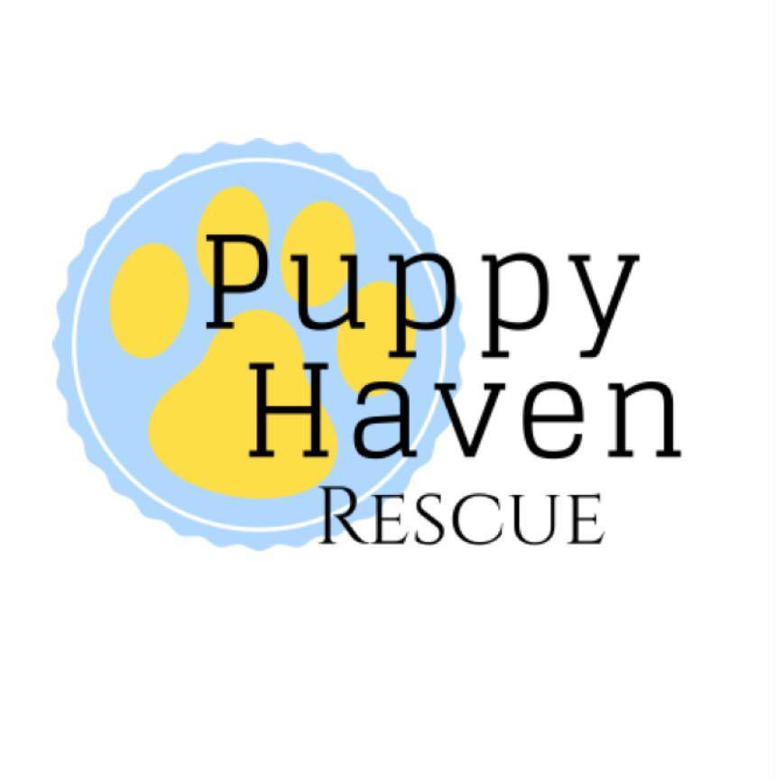 Tulsa Looks Good On Puppy Haven Rescue - The Wolek Group | Tulsa Realtor header image.