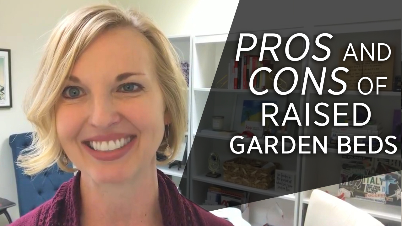 Should You Get a Raised Garden Bed This Season? header image.