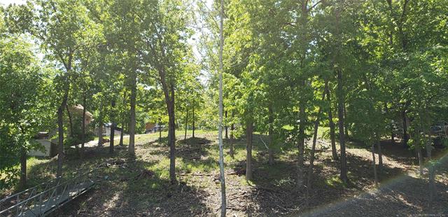 GREAT LEVEL BUILDING LOTS IN GRAN TARA - THE WOLEK GROUP - TULSA REALTOR header image.