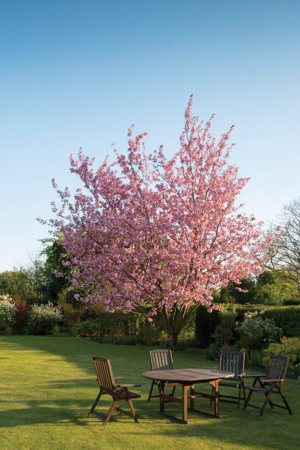 Prepping Your Outdoor Spaces header image.