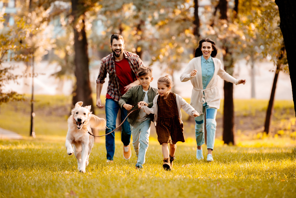 Supporting Pet Owners in Simi Valley: Resources to Keep Pets Healthy and at Home header image.