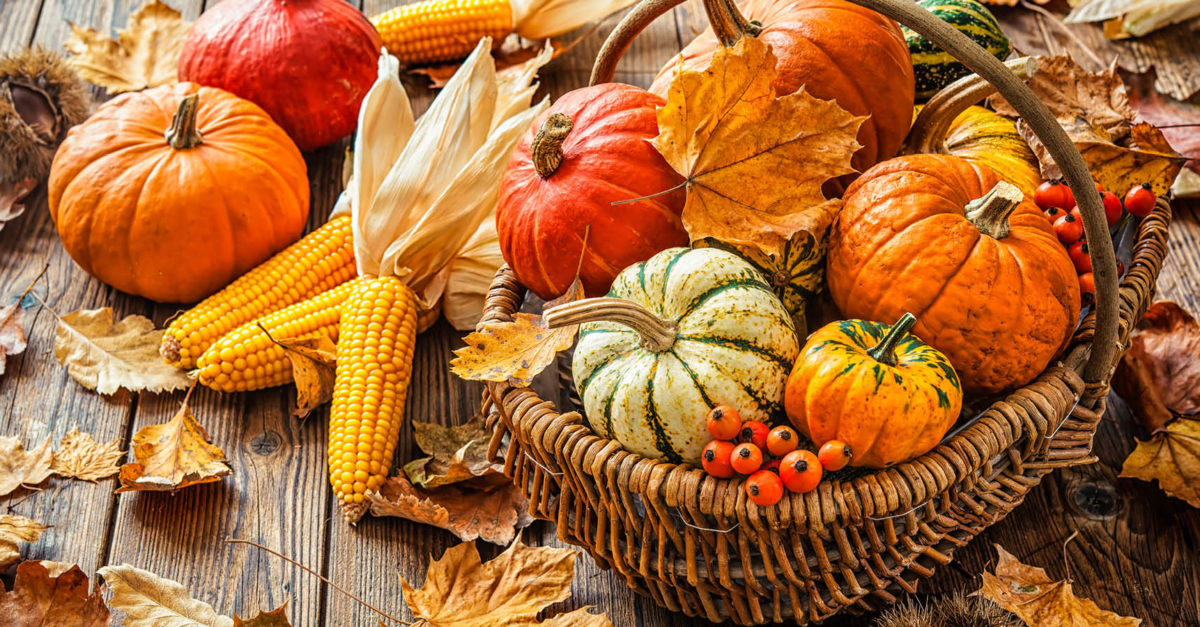Make Your Home Cozy for Fall header image.