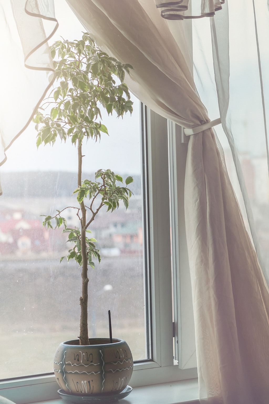 Protect Your House From Sun Exposure header image.