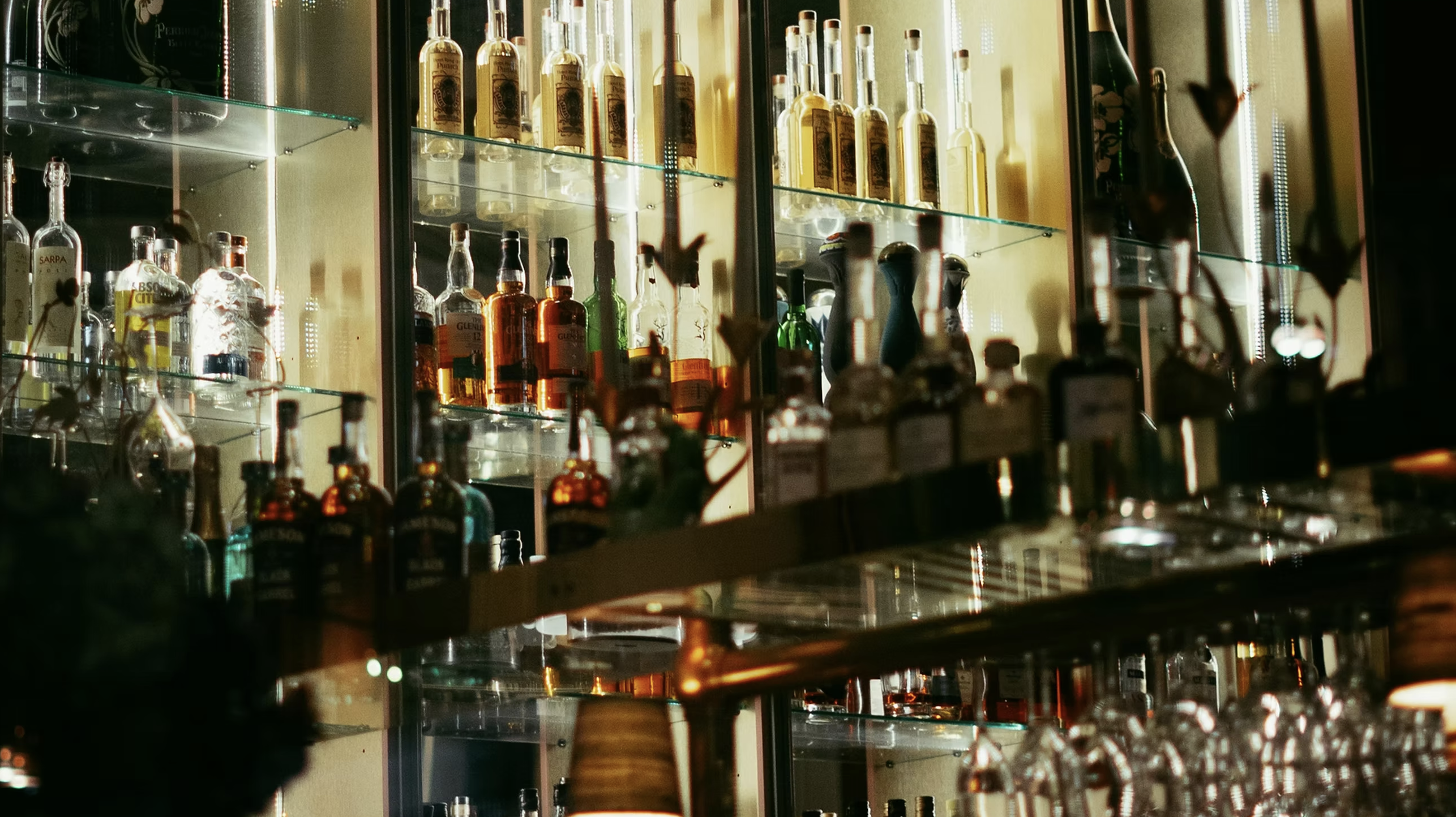 12 New Restaurant & Bar Openings Reshaping Charlotte header image.