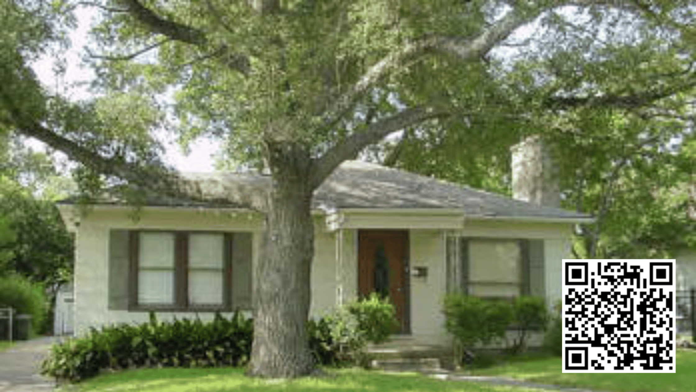 Discover the Historic Charm of Olmos Park Terrace header image.