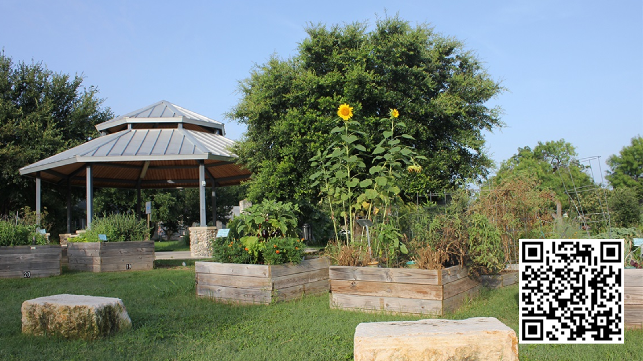 Discover the Charm of Olmos Park Terrace: A Historic Gem in San Antonio header image.