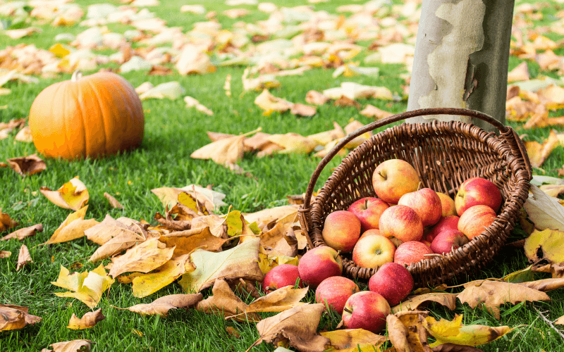 7 Fun Family-Friendly Activities to Do This Fall in Vermont header image.