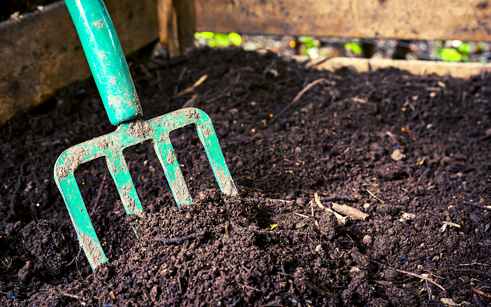 Composting Basics For Everyone header image.