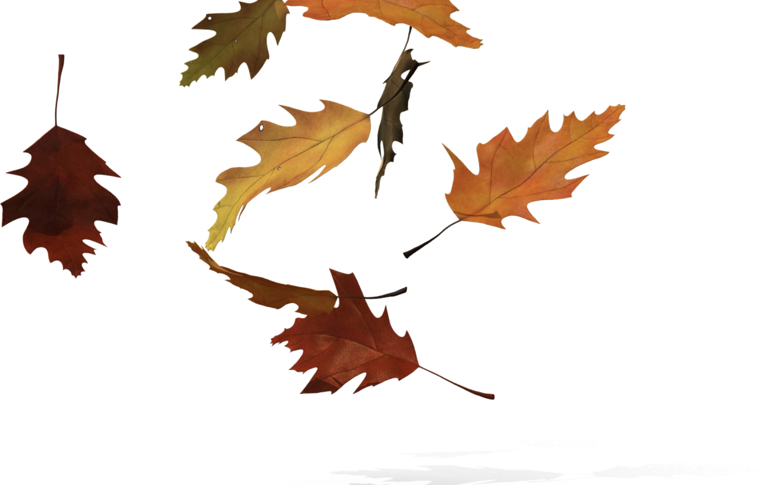 Preparing Your Home For FALL header image.