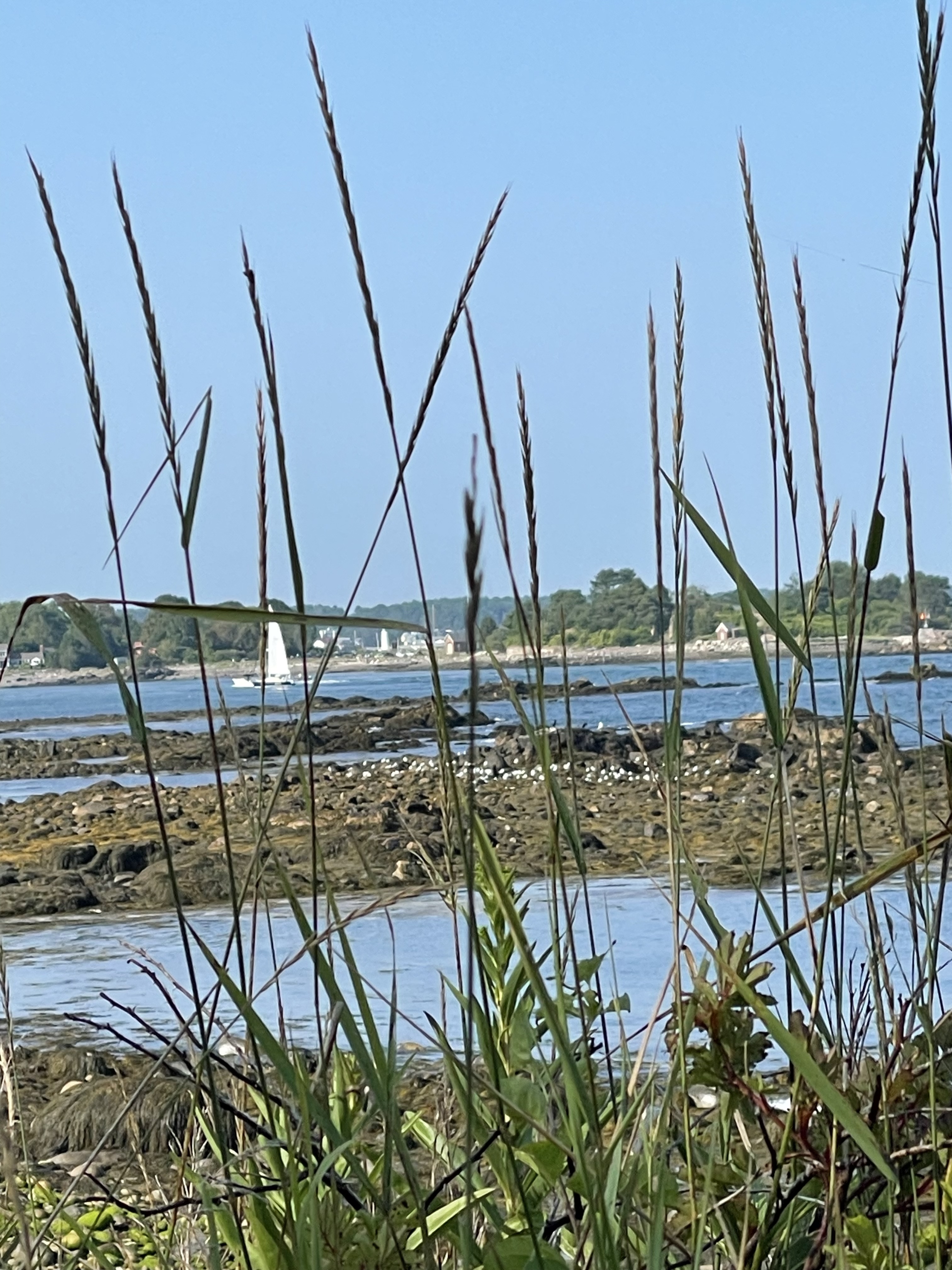 The Seacoast Isn't a Secret. But It Still Feels Like One. header image.