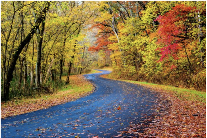 Ashland & Richland Counties Market Check: Still Moving, Still Winning header image.