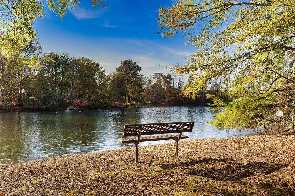 Scenic lakefront backyard view from a residential single family home listing in Spartanburg SC