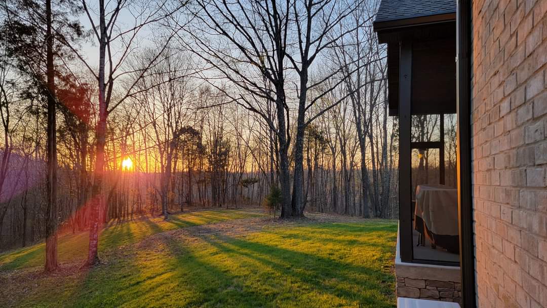 Tranquil Elegance on 5 Acres: A Closer Look at 7903 Daugherty-Capley Rd. header image.