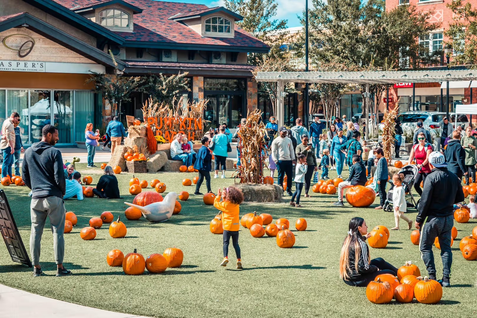 Charlotte Area Fall Fun Guide header image.