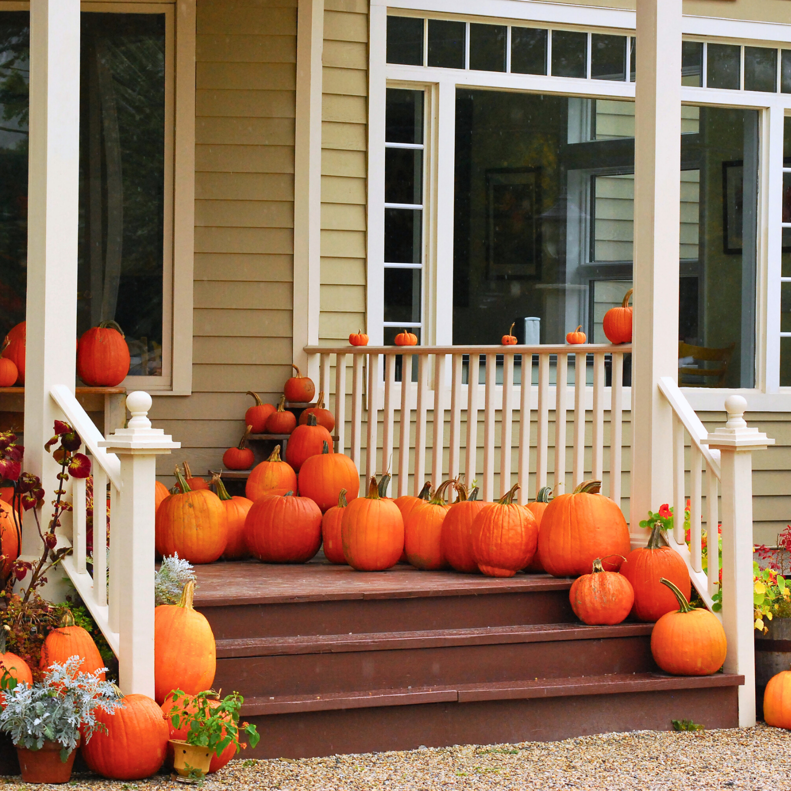 Why Fall is a Great Time to List Your Home header image.